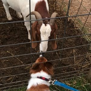 Meet your Posher, Trena